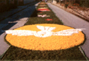 alfombra floral